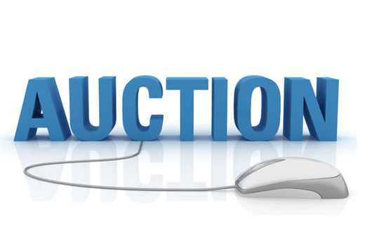 Elektronické aukce na obalový materiál v praxi